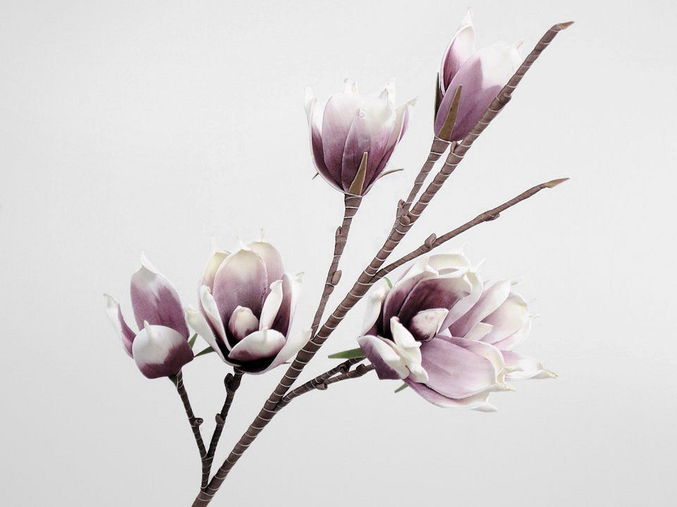 Schaumstoff Magnolia Weiß/Lila
