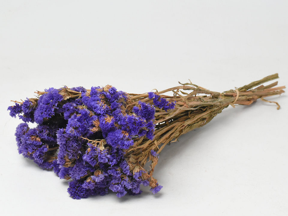 Statice Sinuata Donker Violet
