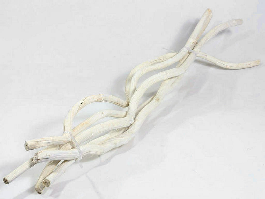 Branche de Dula Blanchi 110cm