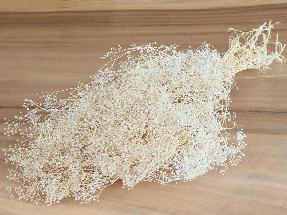 Gypsophila 35cm