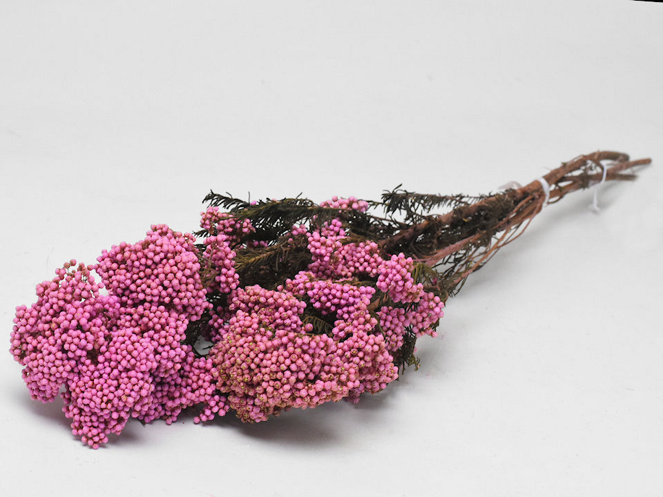 Rice Flower Roze 100gr.
