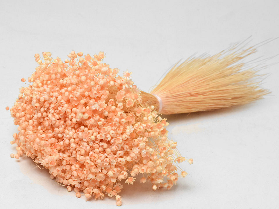 Glixia (50gr) Pastel Peach30cm