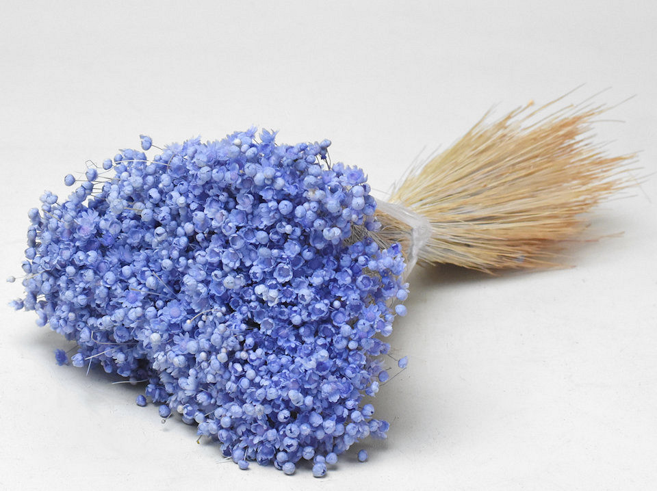 Glixia (50gr) Pastel Violet 30cm