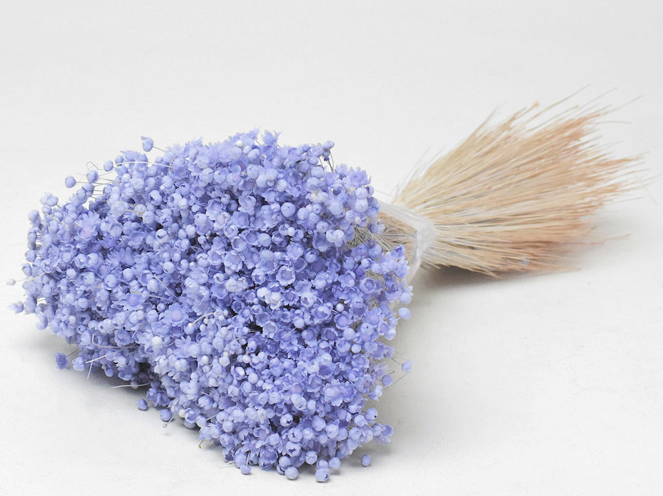 Bouquet Glixia (50gr) Violet Pastel 30cm