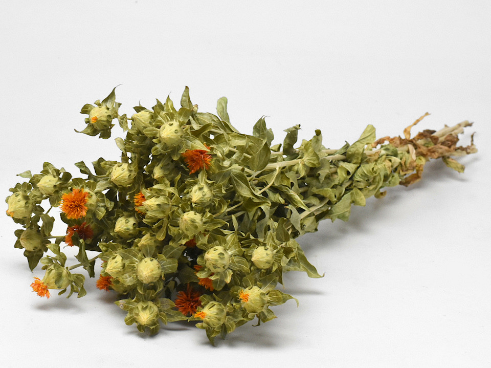 Bouquet Carthamus 65cm
