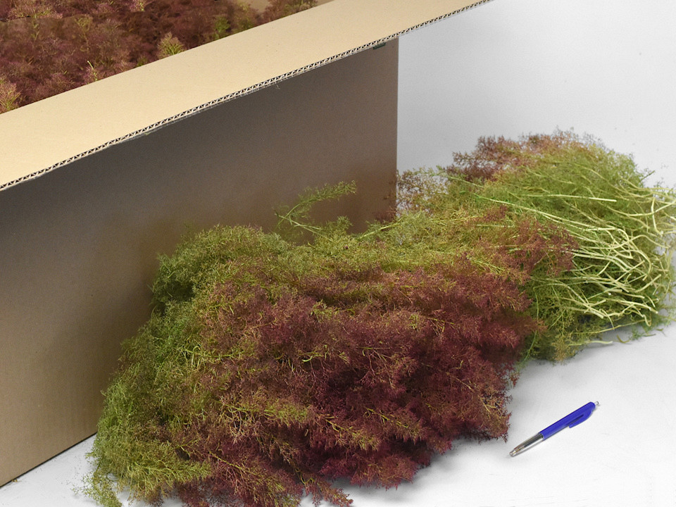 Sea Moss, box 80x38x35cm