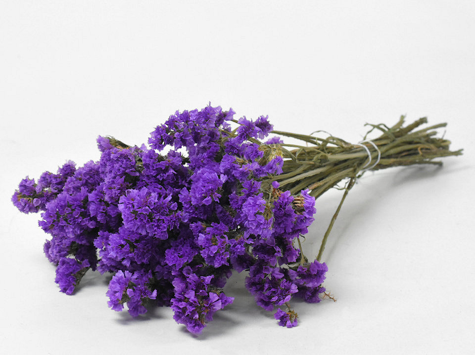 Statice Sinuata Dunkel Violett