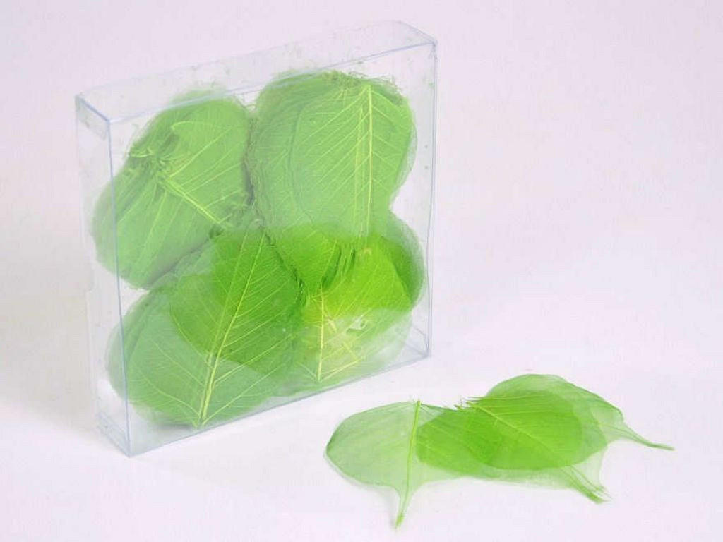 Feuilles Squelette 200pcs Vert