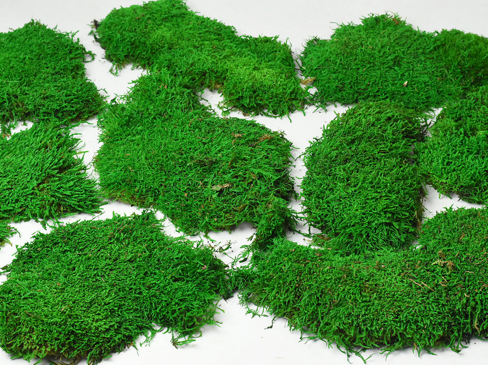 Platmos Lichtgroen per Kg