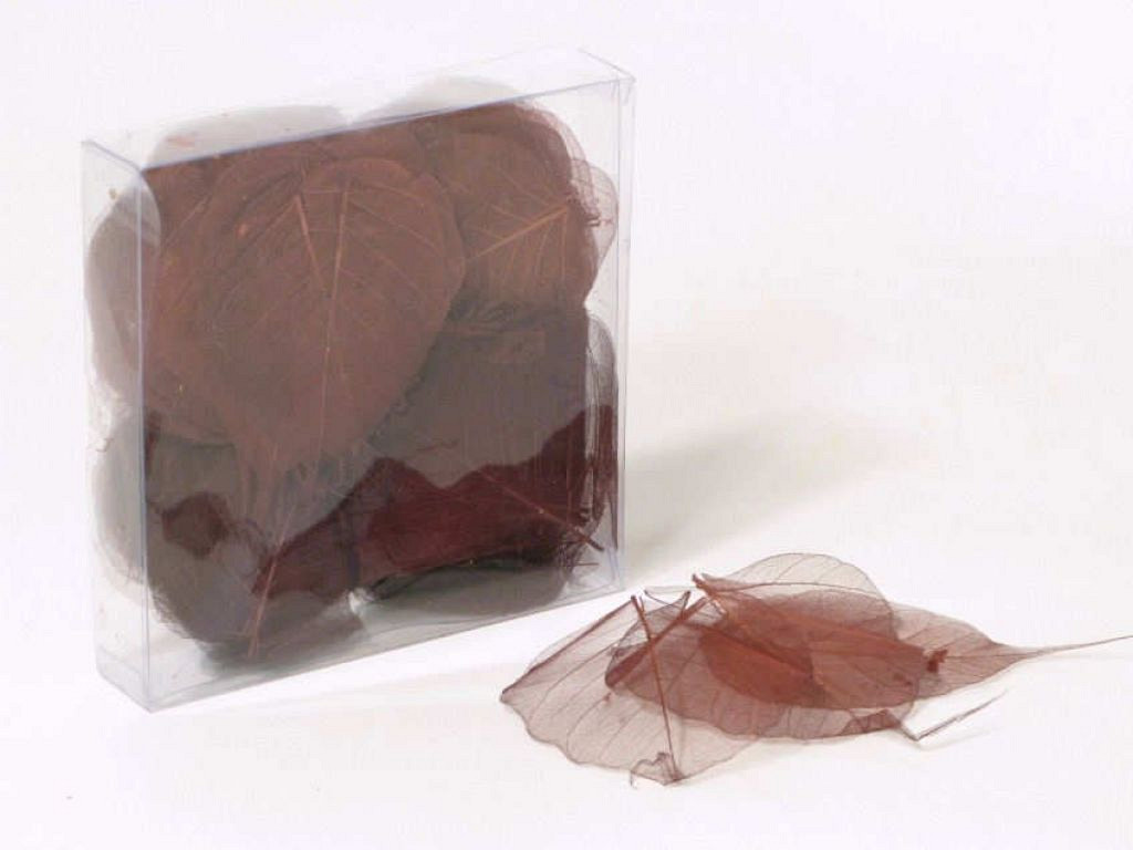 Skelet Blaadjes 200pcs bruin