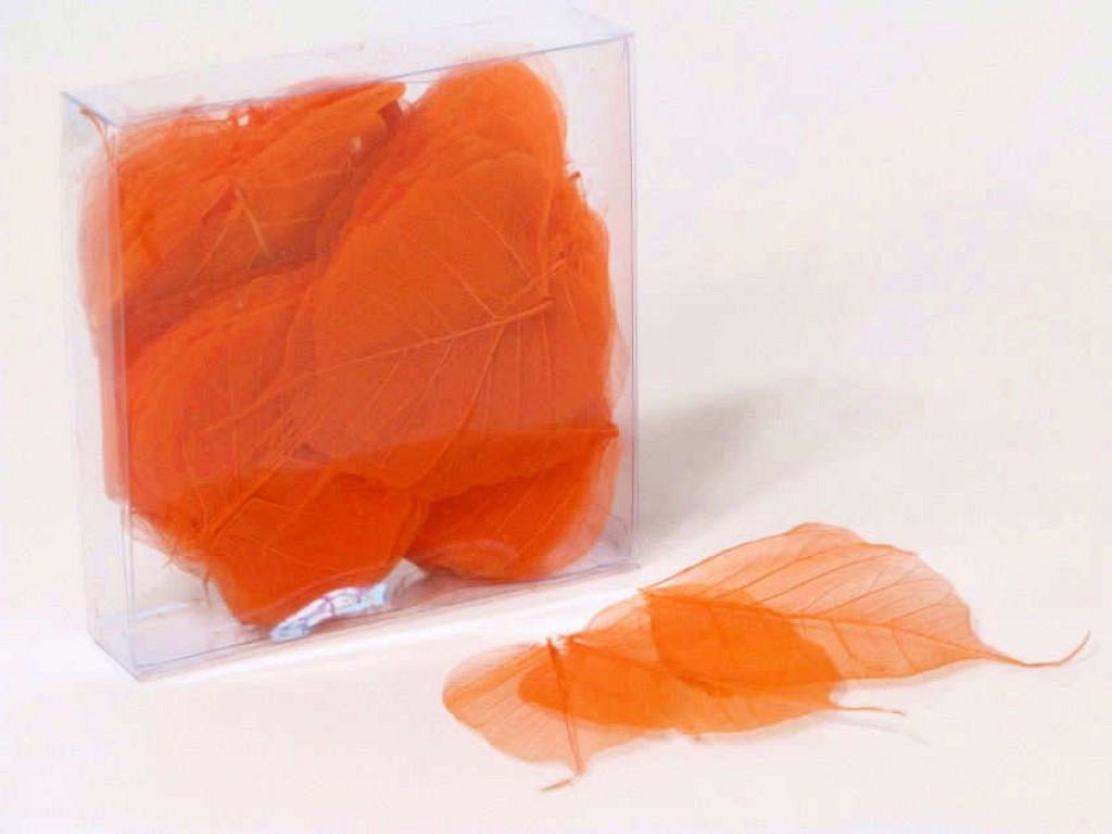 Skeleton Leaves Orange 200pcs 