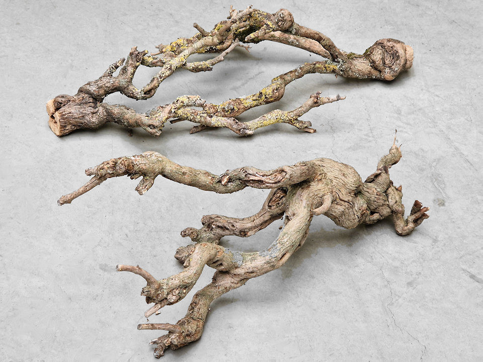 Seringen Tak 50-70cm Knoestig