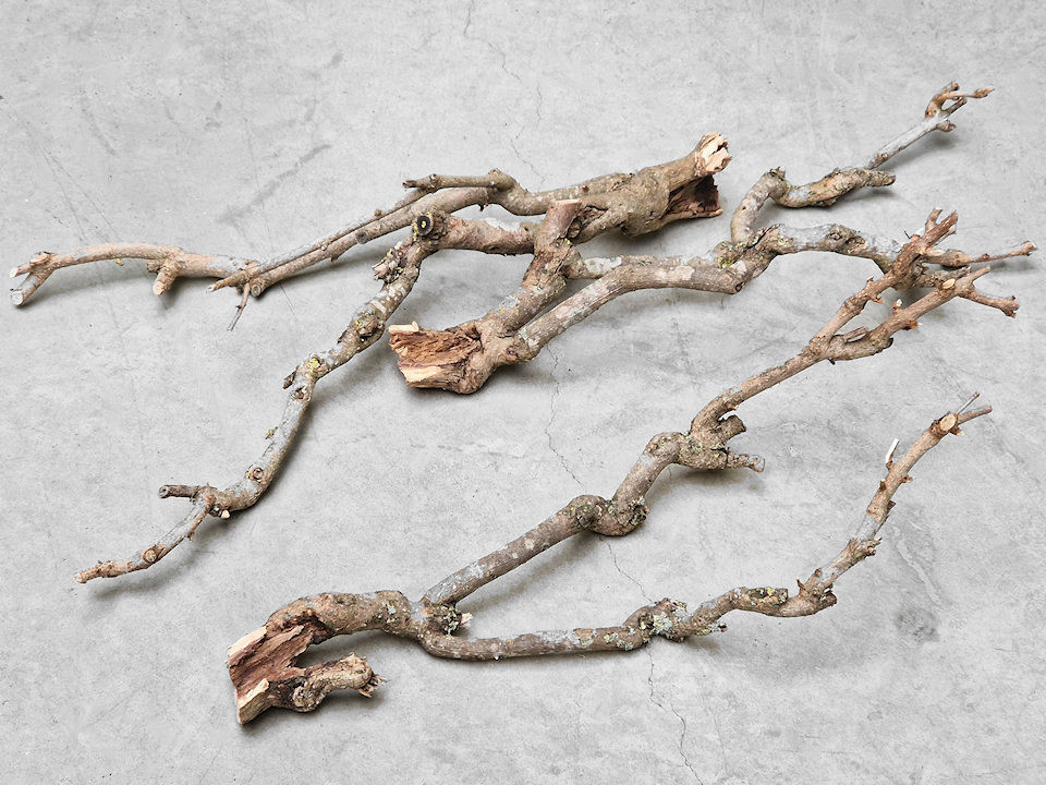 Bois de Lila 30-50cm mince