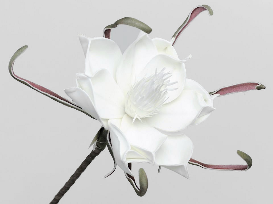 Foam Bloem Wit, D 20cm