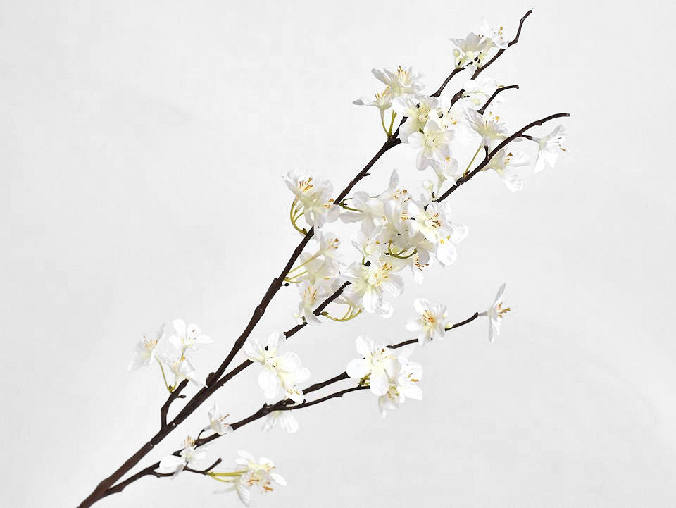 Apple Blossom White 84cm
