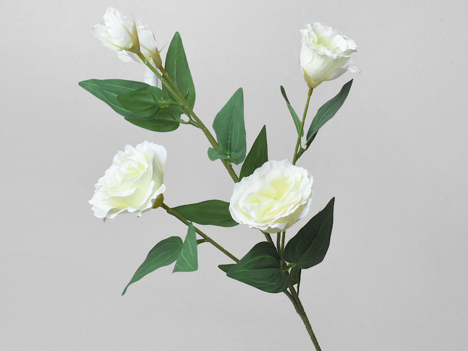 Künstliche Lisianthus Creme 70cm 