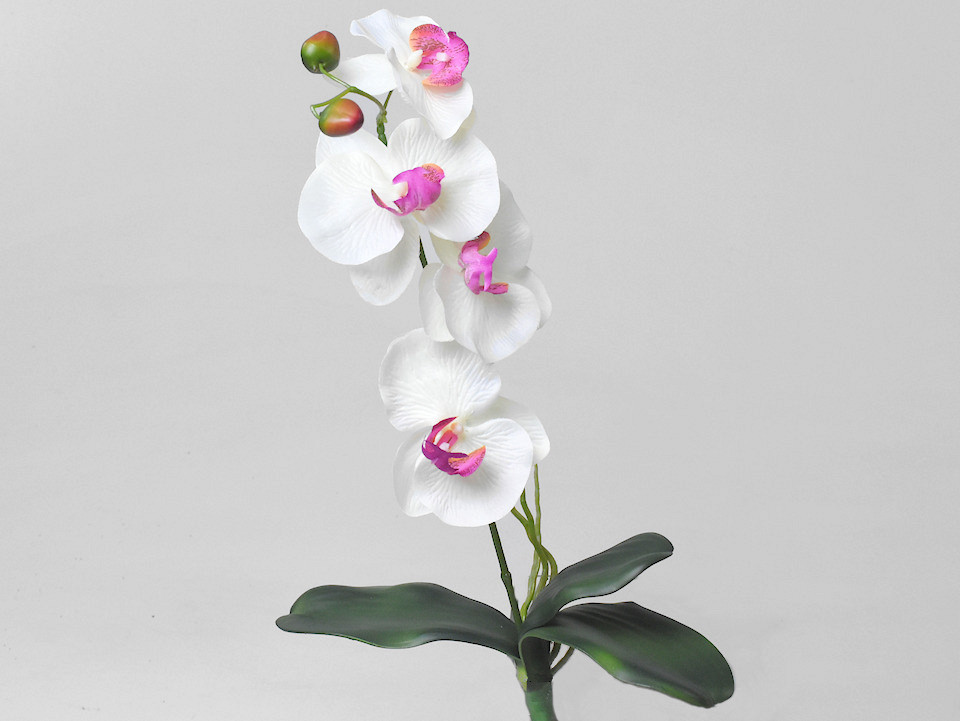 Kunst Phalaenopsis Wit 50cm