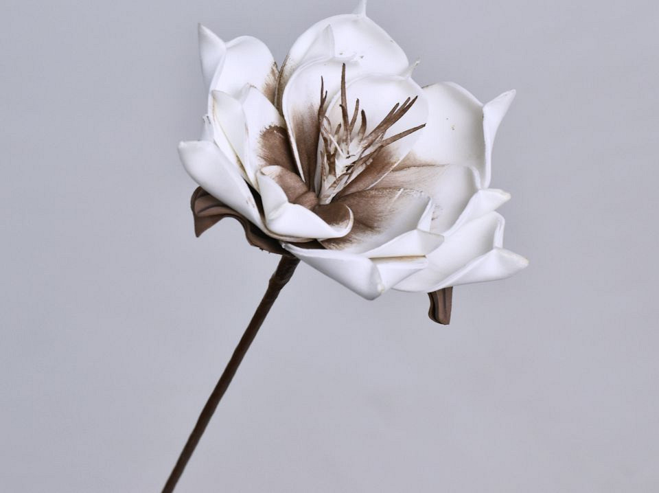 Foam Bloem Wit/Mocca, D 16cm