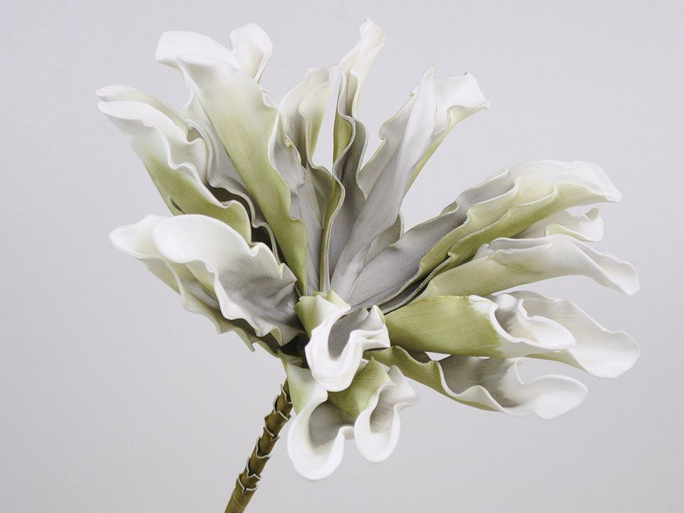 Dracena en mousse  Blanc/Gris, D 24cm