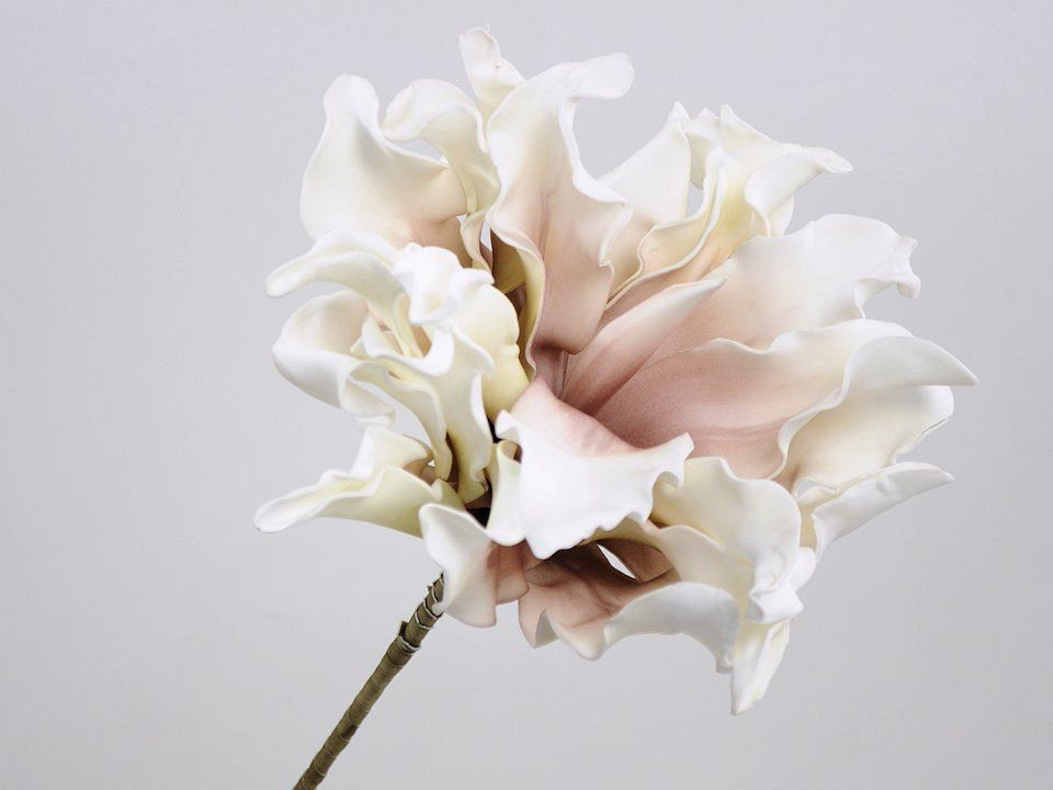 Foam Dracena White/Mocca, D 24cm