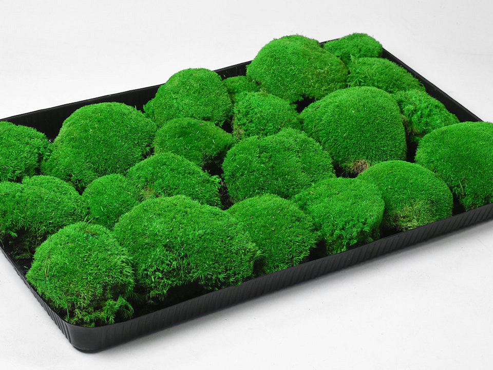 Cushion Moss light Green (Tray 38x58cm)