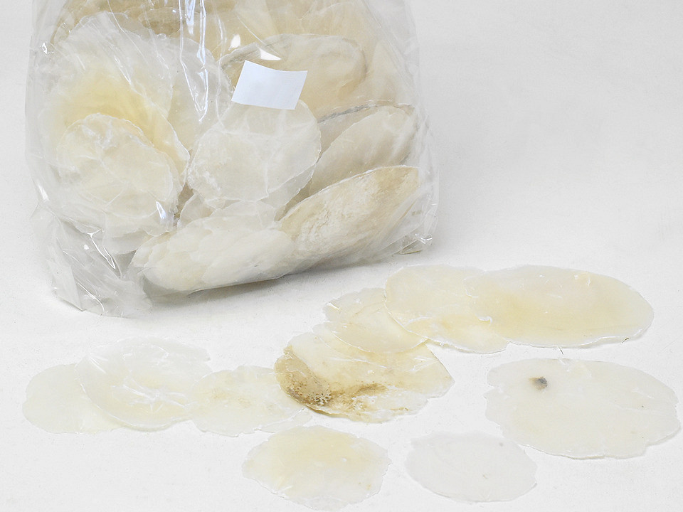 Camar Shells Pearl 6-10cm 1kg