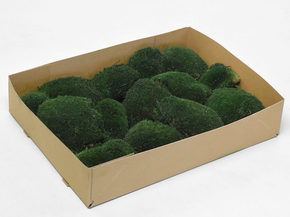 Bolmos Donkergroen (Tray 29x39cm)