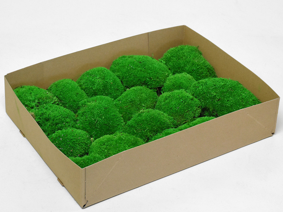 Bolmos lichtgroen (Tray 29x39cm)
