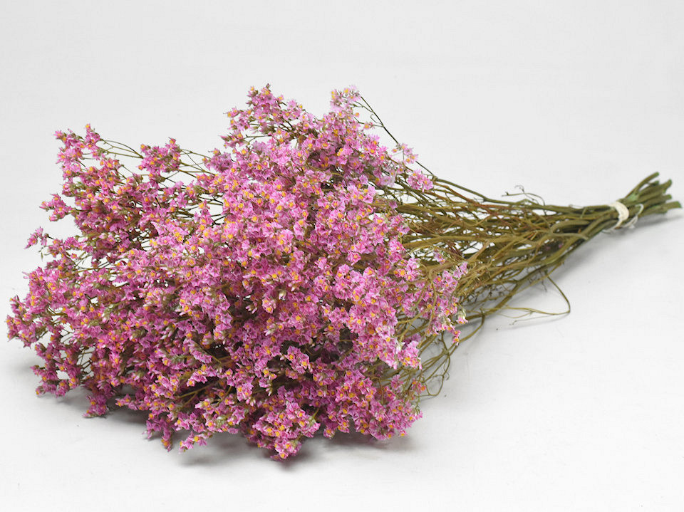 Limonium 60cm Light Pink