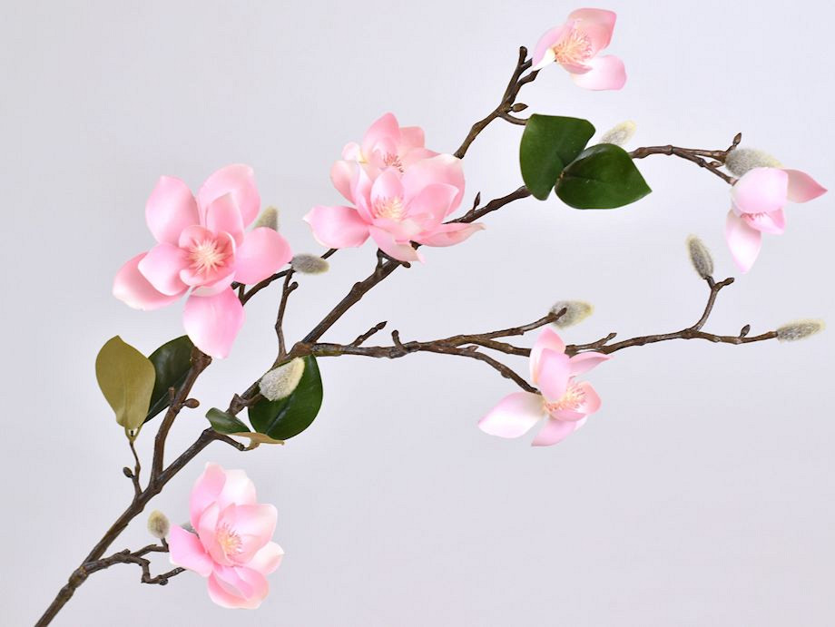 Tige de Magnolia 90cm Rose