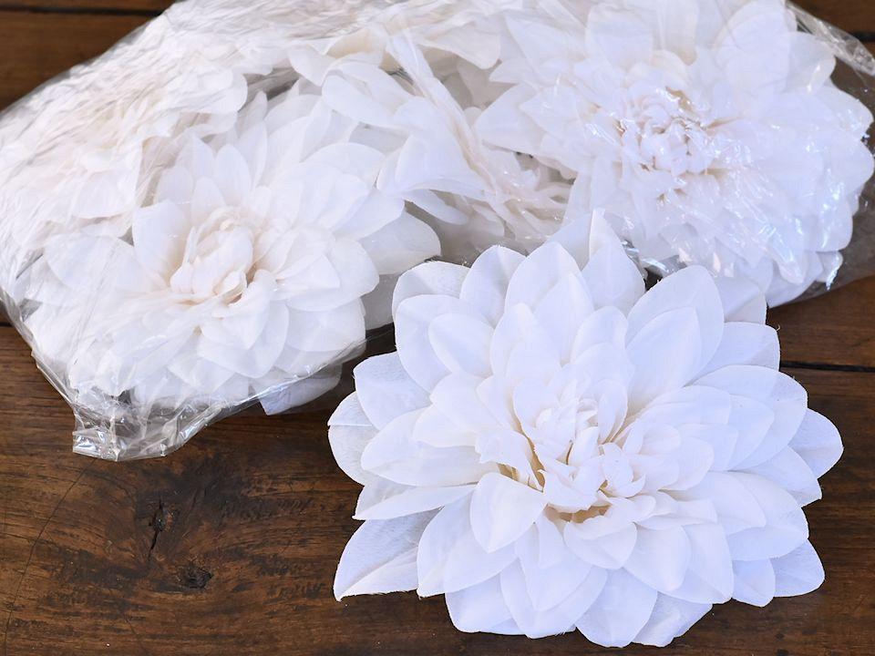 Dahlia White D20cm