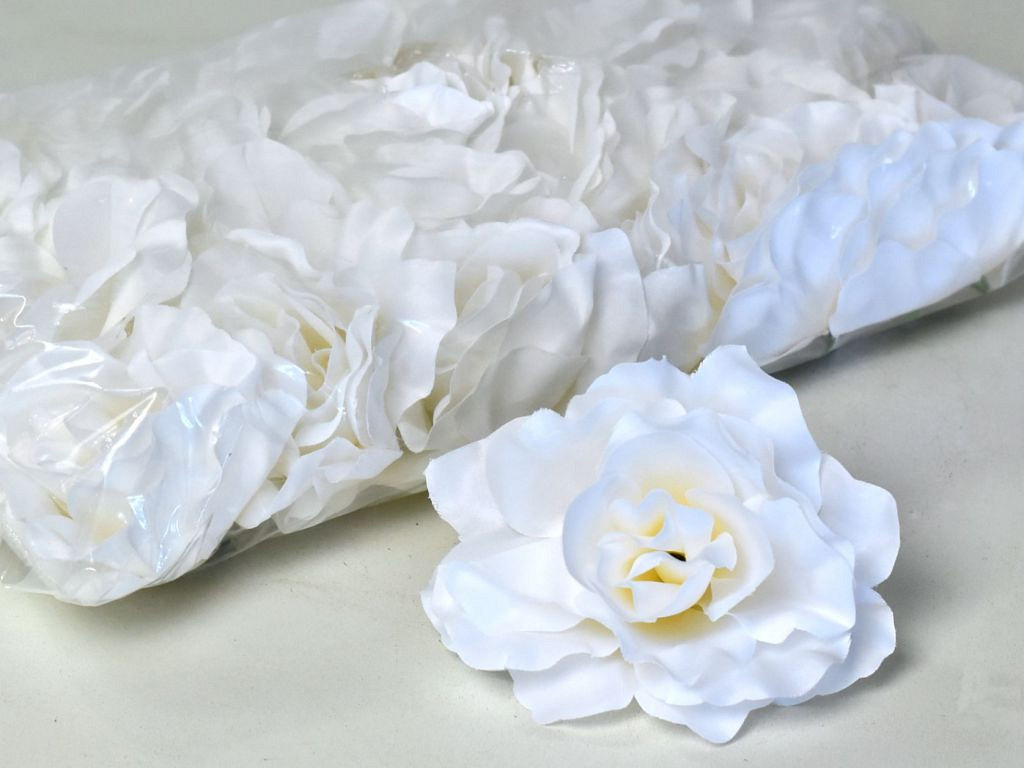 Rose D10cm Blanc