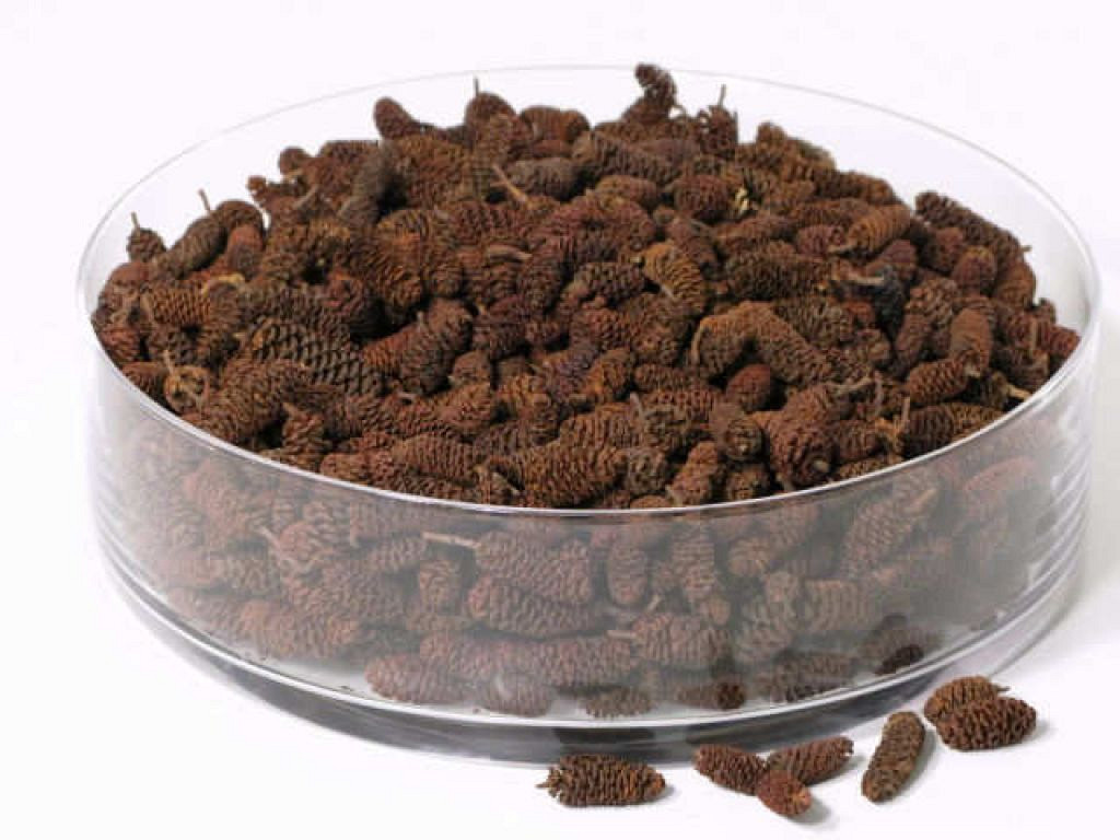 Fruits d'Aulnes 500gr.