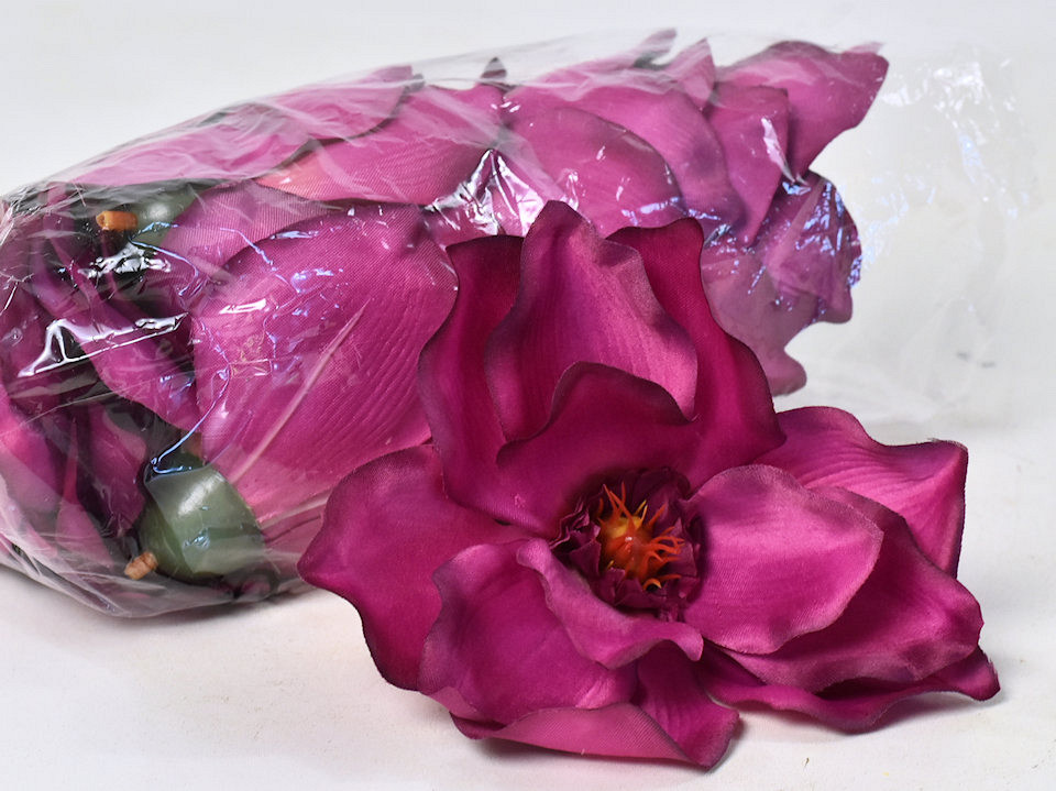 Magnolia D17cm Bordeaux