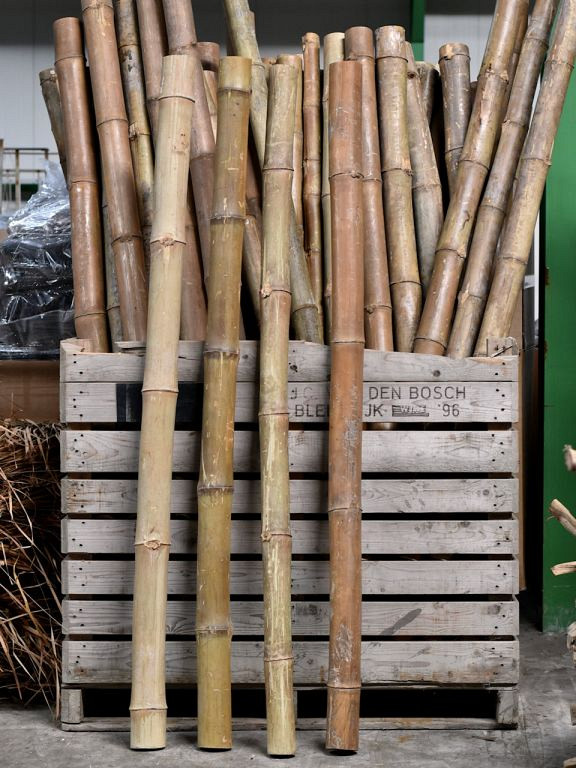 Bamboo Pole 2m D5-7cm | Decofleur