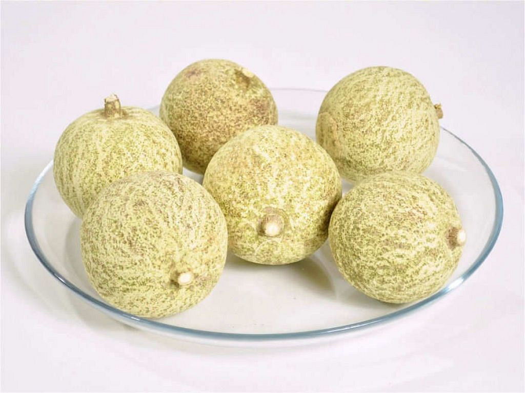 Melon Large Green 7-9cm