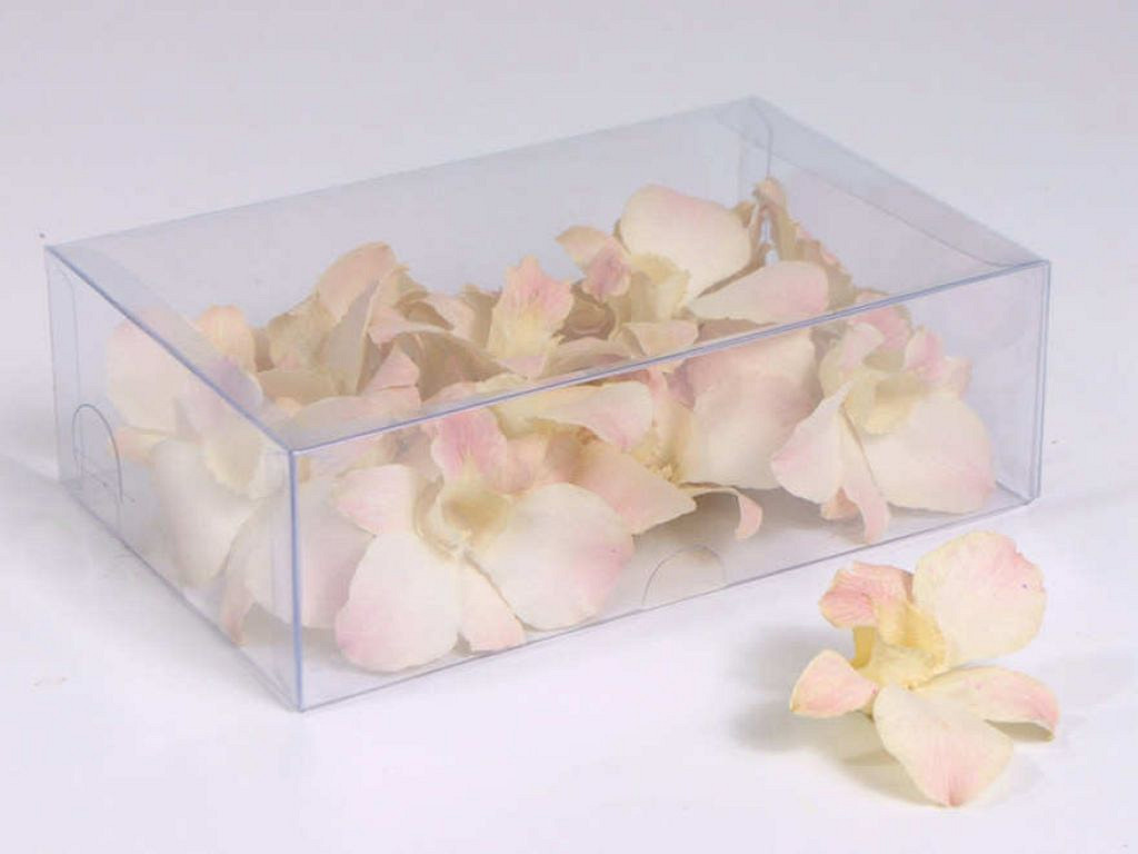 Orchidee Lady White 20pcs