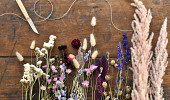 Brandneue Trockenblumen