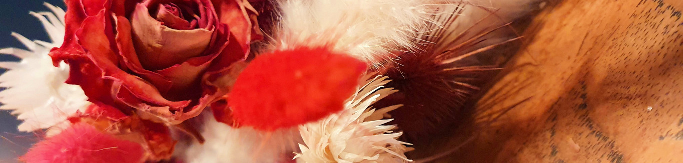 Trockenblumen Großhandel