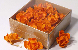 Sola Magnolia 6cm Orange 18pcs