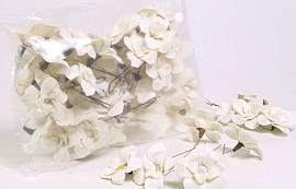Sola Tulpenbaum 6cm white