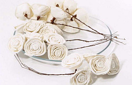 Sola Rose Blanc 4-6cm