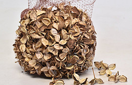Cotton Pod 350gr