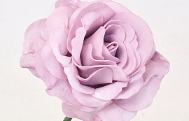 Schaumstoff Rose XL Rosa, D13cm