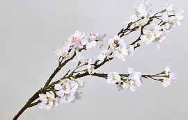 Apfelblütenzweig 104cm Weiß