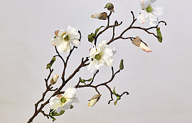 Tige de Magnolia 78cm Blanc