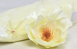 Magnolia D17cm Cream Yellow