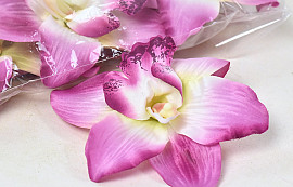 Orchidée Pourpre D16cm