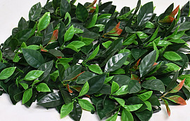 Green Plant Mat Ilex 50x50cm