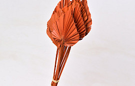 Palm Spear 40-55cm Orange